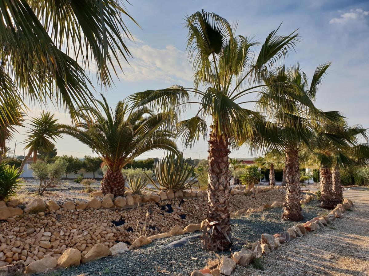 Finca San Mateo Вера Экстерьер фото